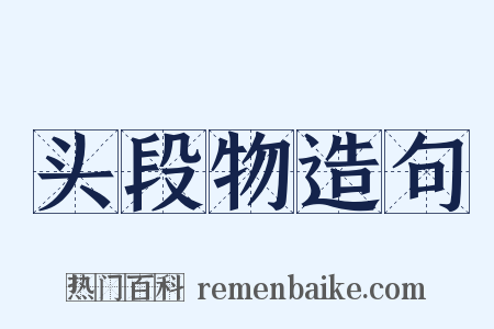 头段物造句是什么意思的图片